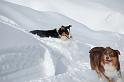 DSC_0190 (2)